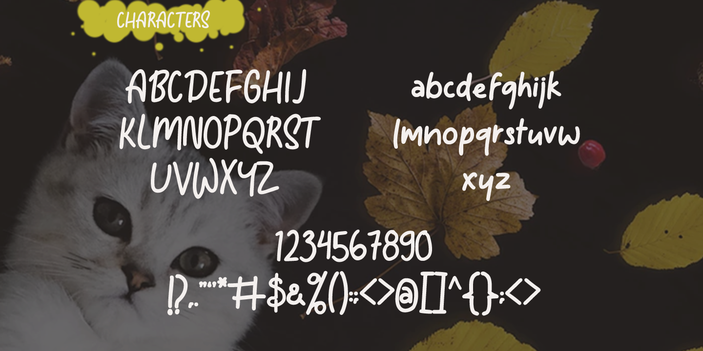 Tomcat Bold Font preview